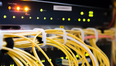 �������Ź���