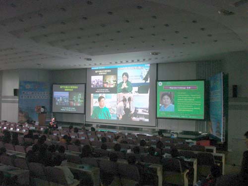 �������Ź���